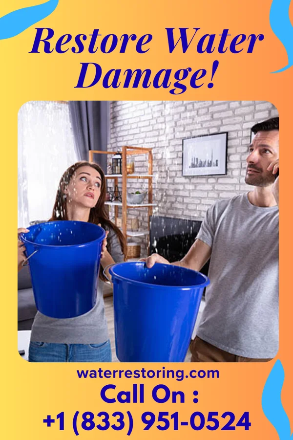 water restoration Expert Sewage Cleanup Professionals Vancleave